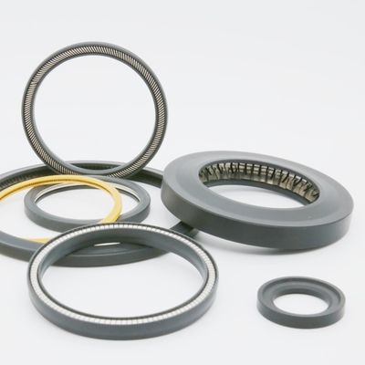 PTFE PEEK Spring Energized Seals Ultra Low Temp Petrochemical Semiconductor Seals