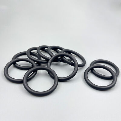 Food Grade FDA O Ring Seals Silicone EPDM PTFE Hygienic Gasket