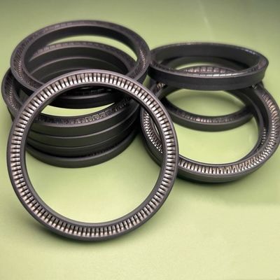 PTFE PEEK Material Spring Energized Seals For Canned Equipment High Temp Resistance
