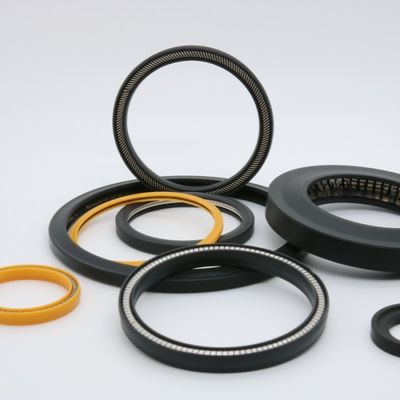 Weather Resistance PTFE Spring Energised Seal 90 Shore A For Petroleum Industry