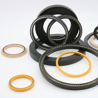 Weather Resistance PTFE Spring Energised Seal 90 Shore A For Petroleum Industry