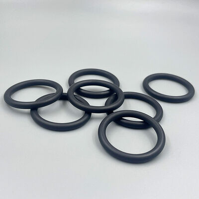 Food Grade FDA O Ring Seals Silicone EPDM PTFE Hygienic Gasket